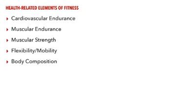 Weights And Fitness Unit Slides By Sinead Nelson Tpt