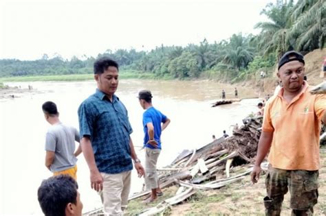 Sungai Batang Serangan Langkat Tercemar Ribuan Ikan Mabuk Dan Mati