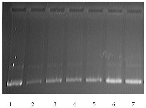 Polymers Free Full Text Promising Gene Delivery Properties Of Polycations Based On 2 N N