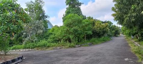 Dijual Tanah Pecatu Indah Resort Pecatu Uluwatu Bali Tanah Dijual Di