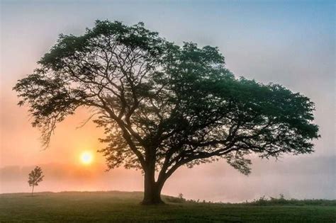 July Nature And Landscape Photography Brad Mangas