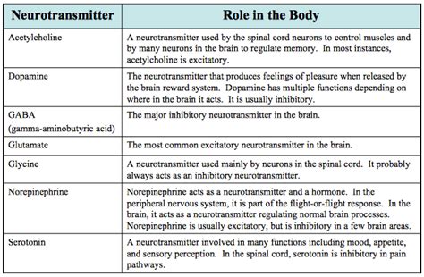 Effects of Drugs on the Brain - Witlee Bio 12