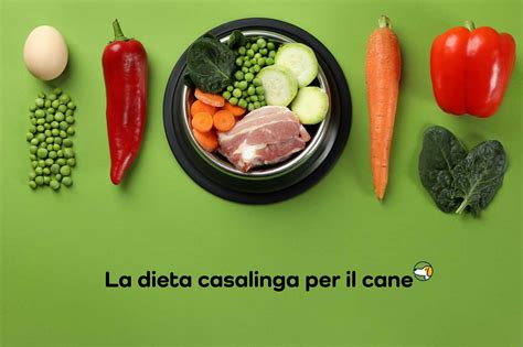 Dieta Casalinga Per Il Cane Per Unalimentazione Naturale E