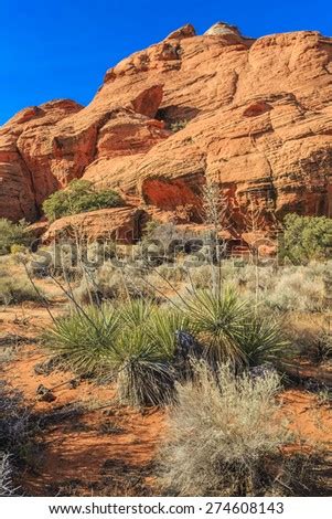 Snow Canyon State Park Is A State Park Of Utah Usa Featuring A Canyon