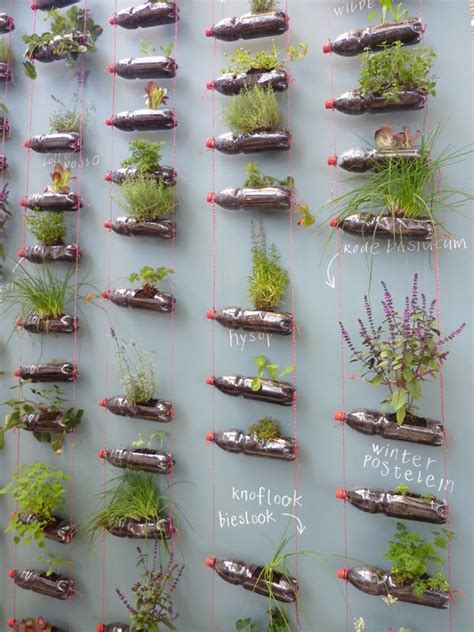 40 Brilliant plastic bottle garden ideas