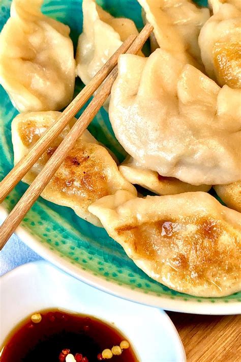 Gyoza Selber Machen Asiatische Teigtaschen Mit Hackfleisch Und Kohl