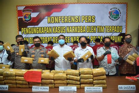 Polda Lampung Berhasil Amankan 1300 Butir Ekstasi 69 Kg Ganja Dan 3 Kg