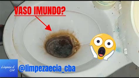 Como Remover Crosta E Sujeira Seu Vaso SanitÁrio Youtube