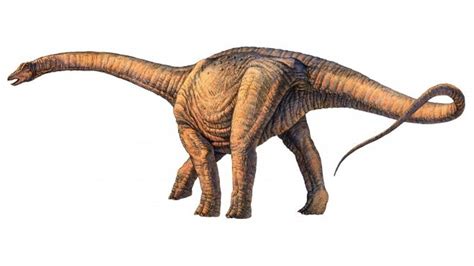 Descubren Nueva Especie De Dinosaurio En El Desierto De Atacama Horas