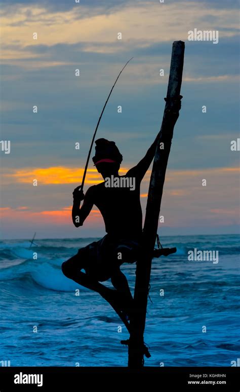 Las Siluetas De Los Pescadores Tradicionales De Sri Lanka Zancudos