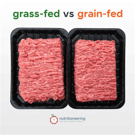 Oz Ground Beef Protein Calories By Percentage