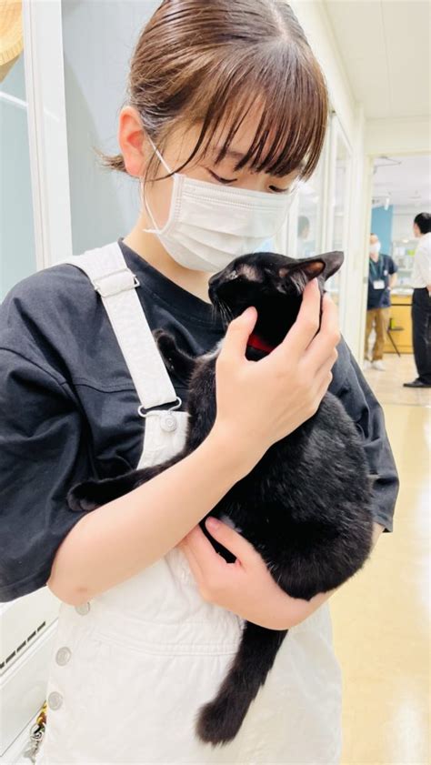 【動物看護師専攻】飼育猫ルルちゃん〜4ヶ月齢〜 【スタッフブログ】eco日記｜名古屋eco動物海洋専門学校