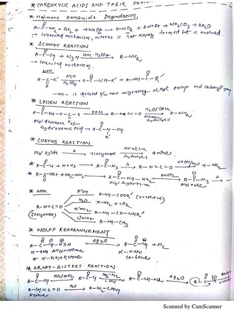 Carboxylic Acids and Amines | PDF