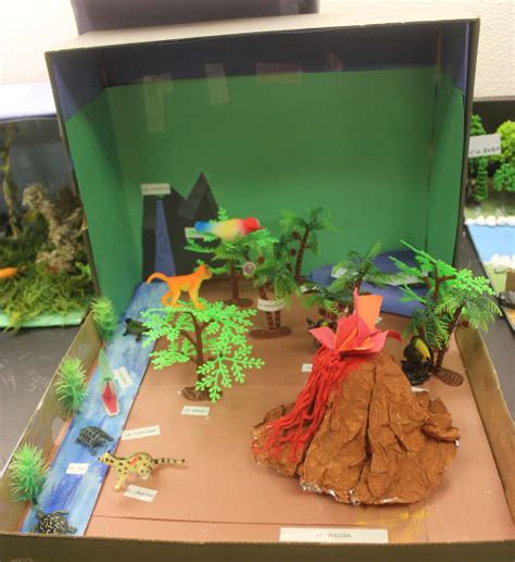 Rainforest Diorama Made By Recycled Material Recycling,, 46% OFF