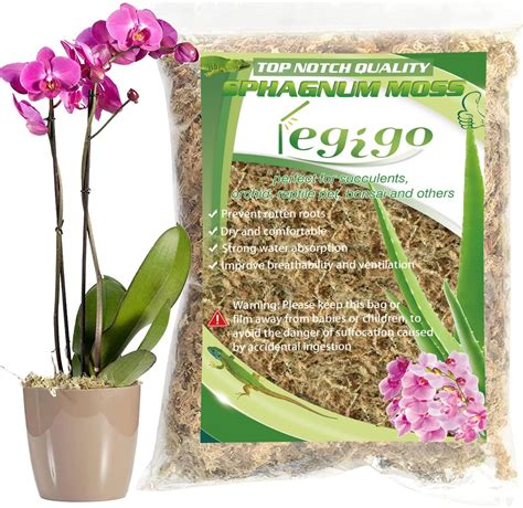 Amazon Legigo 3 5oz Premium Sphagnum Moss Potting Mix 4 QT