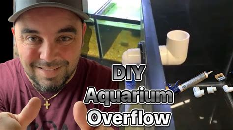 Diy Aquarium Overflow Youtube