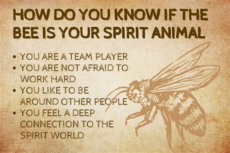 Bee Spirit Animal What Does A Bee Symbolize