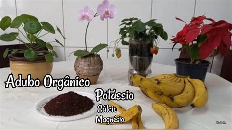 Adubo de Casca de BANANA rico em Potássio nunca mais jogue fora as