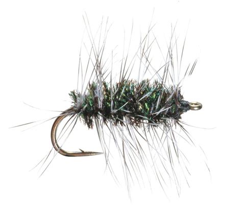 Griffiths Gnat Dry Fly Trident Fly Fishing