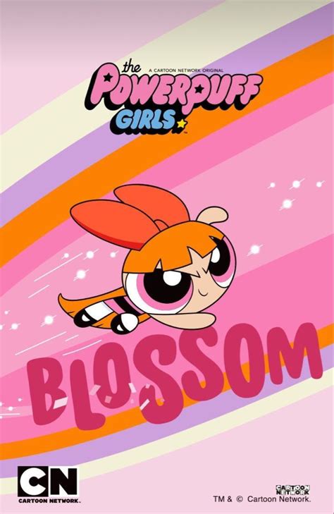 The Powerpuff Girls Blossom Wallpaper