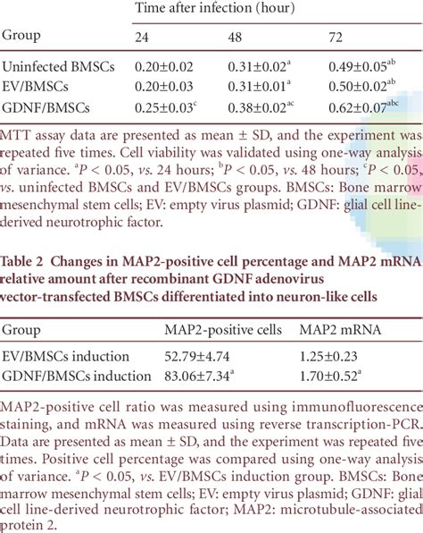 Absorbance Of Bmscs After Infection By Empty Virus And Recombinant