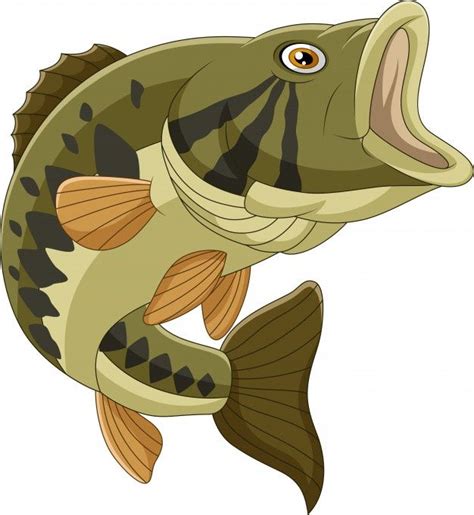 Premium Vector Cartoon Bass Fish Isolated In 2024 Fish Drawings