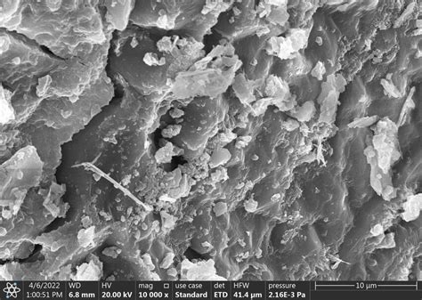 SEM image of control specimen after 28 days. | Download Scientific Diagram