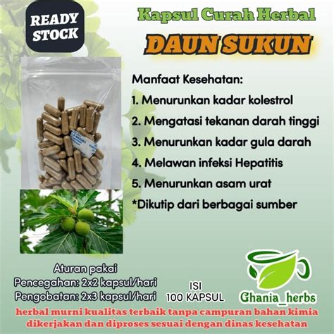 Jual Herbal Curah Daun Sukun Isi Kapsul Shopee Indonesia