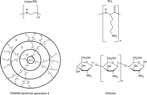 Structures Of Current Cationic Polymers Used In Gene Therapy Pei