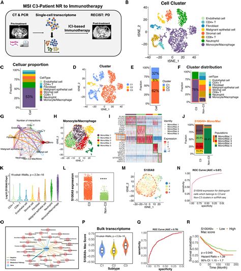 An Immunometabolism Subtyping System Identifies S A Macrophage As