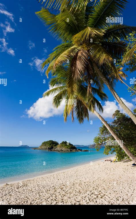 The World Famous Beach At Trunk Bay St John U S Virgin Islands