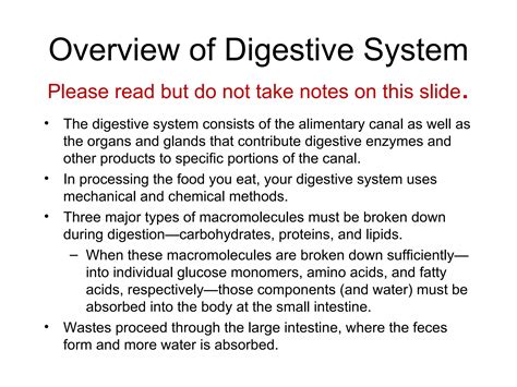 Digestive System Ppt