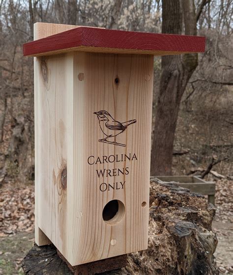 Raw Cedar Songbird Roosting Box With Cleanout X Etsy