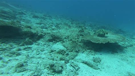 Douglas Shoal Sediment Sampling Panorama Video A Gh