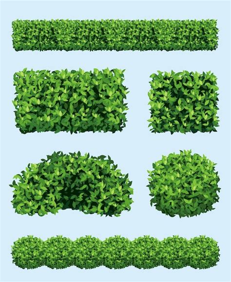 Premium Vector Green Shrub Realistic Garden Plants Different