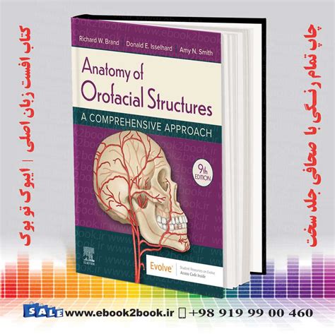 Anatomy Of Orofacial Structures Th Edition