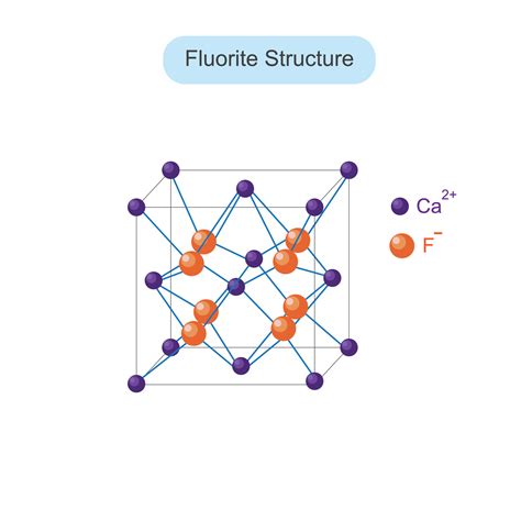 Fluorite Structure CaF2 Structure Solid State Chemistry Illustration