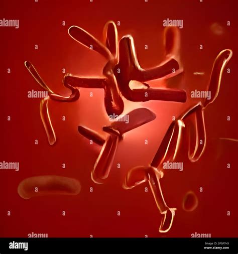 Microscopic Bacteria Legionella Pneumophila Illustration Stock Photo