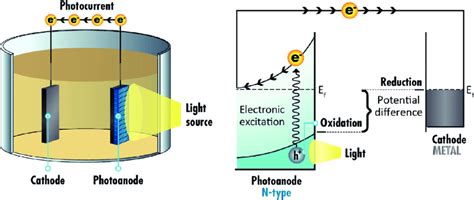 Photoelectrochemical Cell With Photoanode Download Scientific Diagram