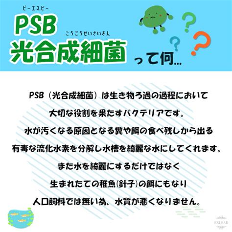 豆カフェめだか Psb 光合成細菌 250ml×2 2つセット めだか 稚魚 針子 卵 採取 バクテリア メダカ 産卵 淡水魚 水槽