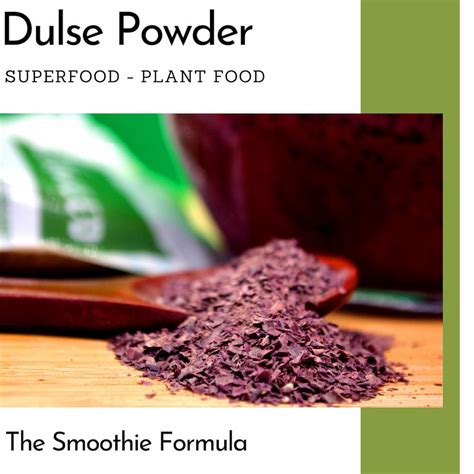 Dulse Powder - Wildcrafted in Ireland - Premium Supplier