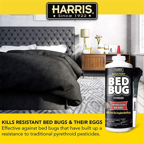 Natural Bed Bug Killer Powder