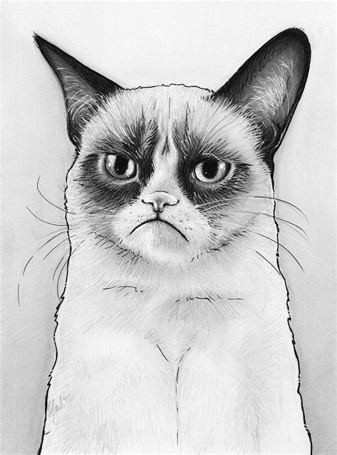 Angry Cat Drawing at PaintingValley.com | Explore collection of Angry Cat Drawing