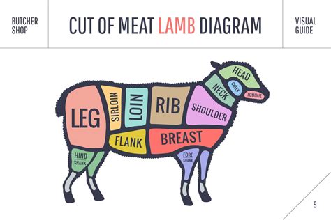 Cut Of Beef Set Poster Butcher Diagram And Scheme Lamb 44631808 Vector Art At Vecteezy