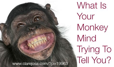 monkey mind Archives ~ Clare Josa | Author And Keynote Speaker