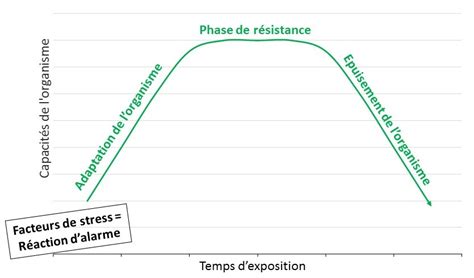 Comprendre Le Stress Effets Papillon