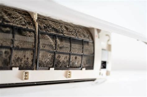 Mold Damage And Hvac Systems Strategies For Cleaning And Preventing Mold Growth In Heating