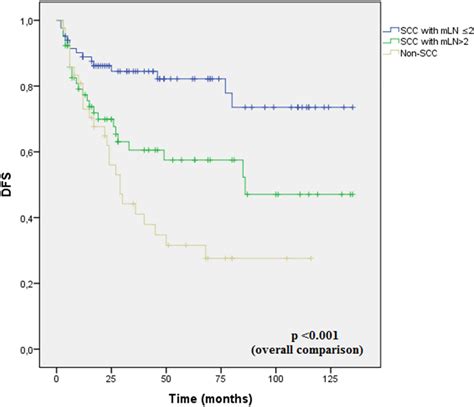 Kaplanmeier Curves For Dfs According Scc With Mlns ≤ 2 Scc With Download Scientific Diagram