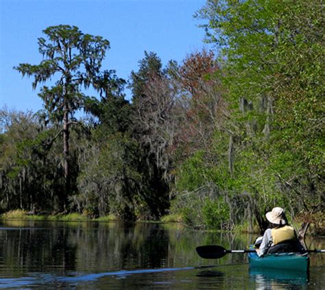 Alafia River State Park