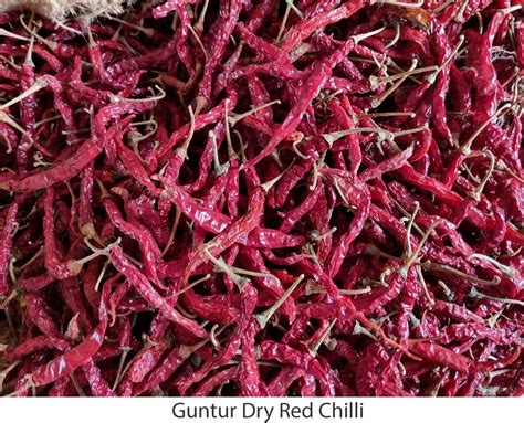 Guntur Dry Red Chilli At Kg Guntur Dry Red Chilli In Nagpur